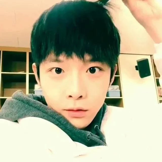 温厚羽伦