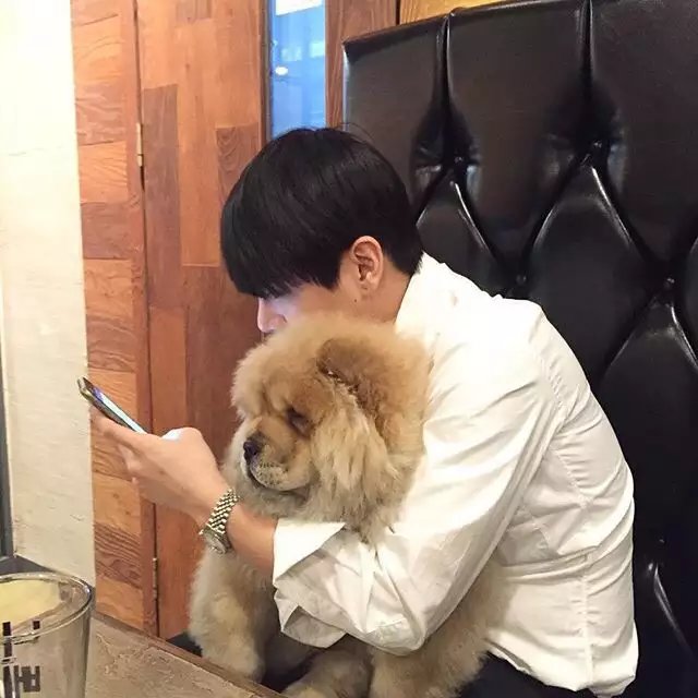 文茜雅光