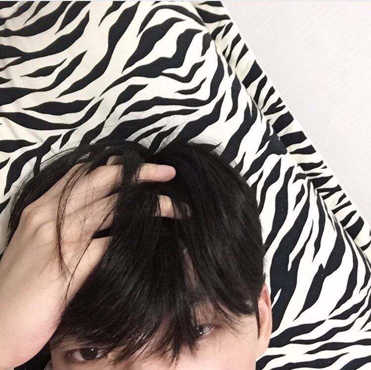 公孙辉妹飘