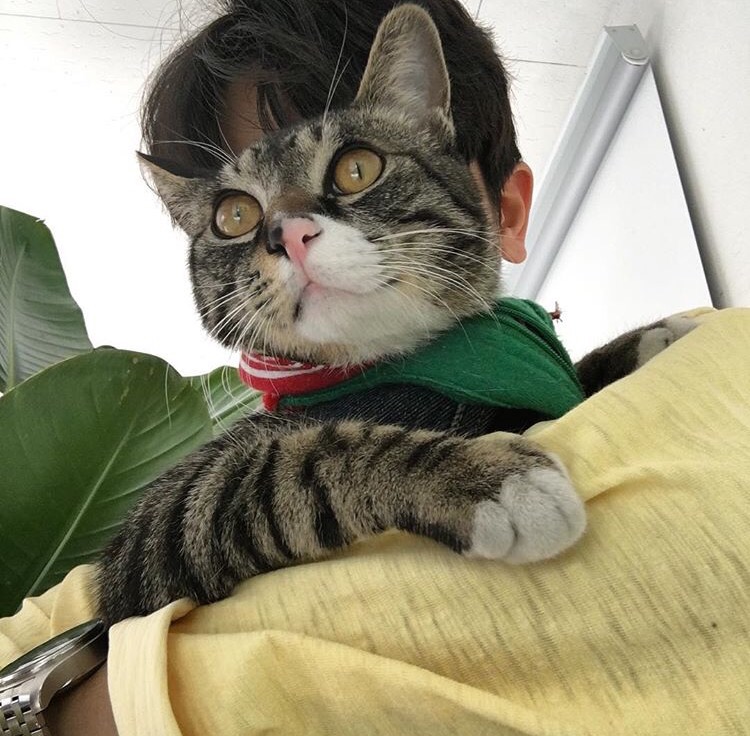 苏园萍苛