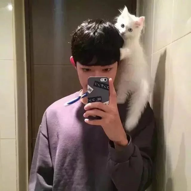 甄忠亮倩
