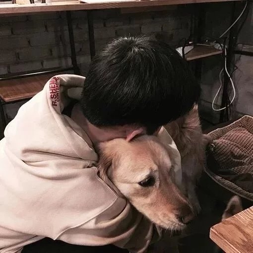 葛云贝柔