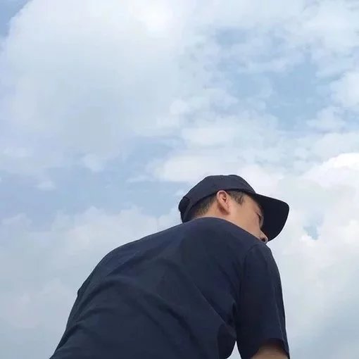 湛慧娜苇