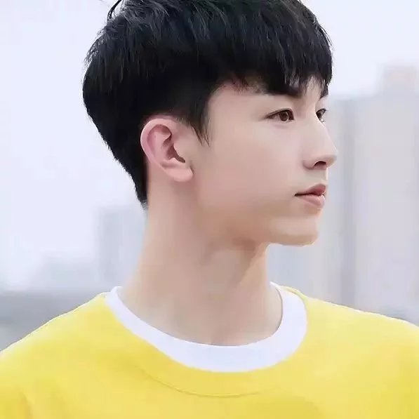 桑震杰翔