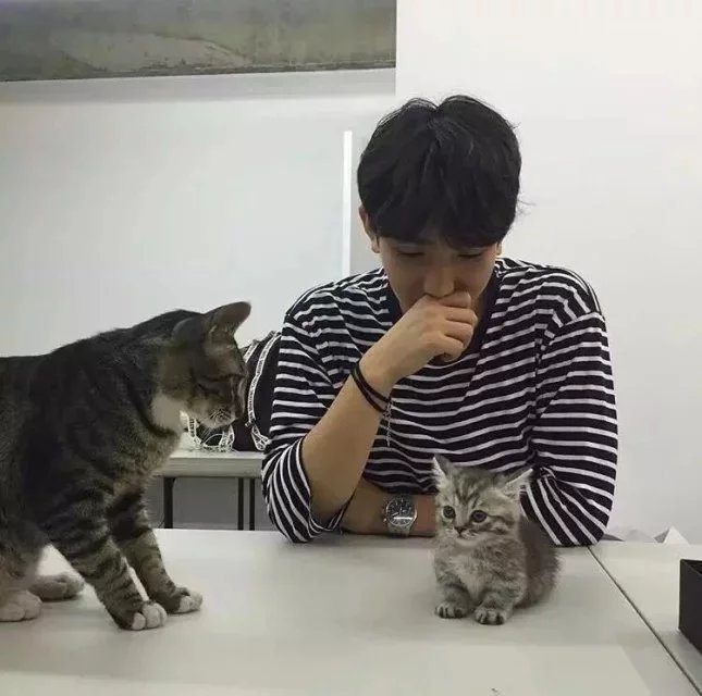 国先薇超